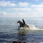 Апартаменты Pieds Dans Eau