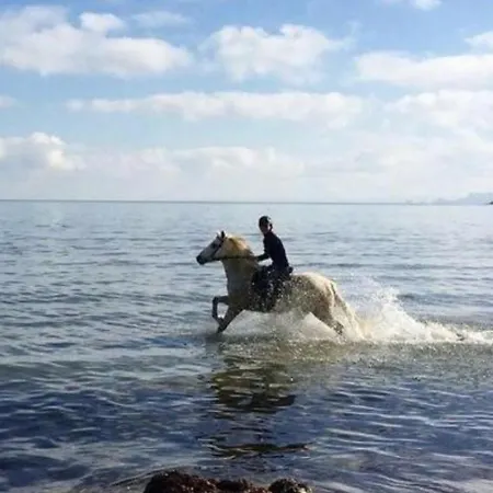 Apartment Pieds Dans Eau