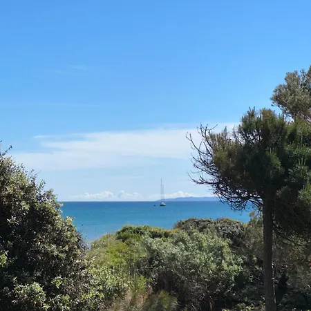 Appartement Pieds Dans Eau Hyères