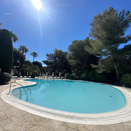 Pieds Dans Eau Hyères